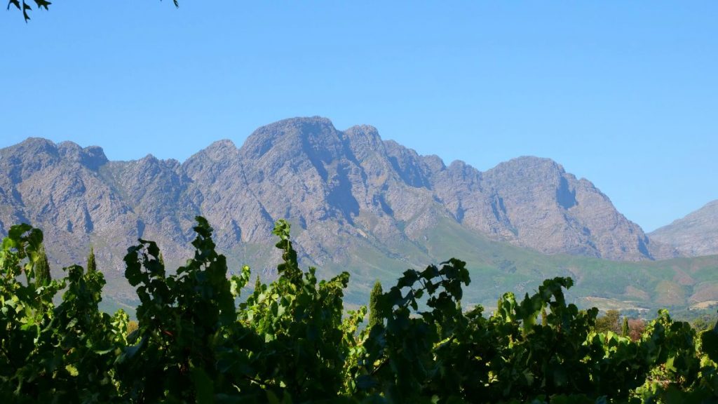 Mountains surrounding Franschhoek Vineyard