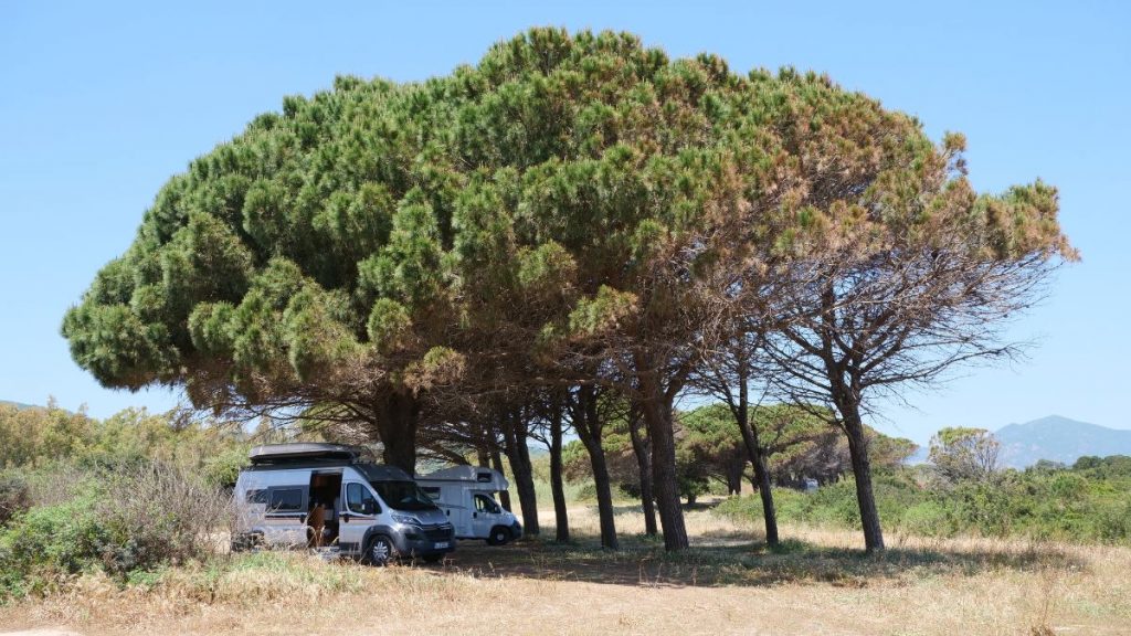 Wingfoilen und Camping in Sardinien