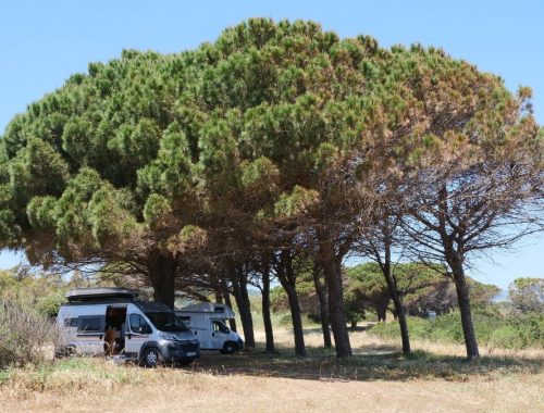 Wingfoiling und Camping in Sardinien