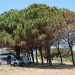 Wingfoiling und Camping in Sardinien