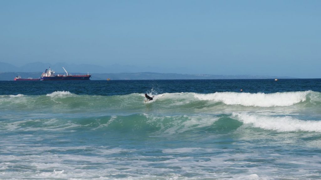 The surfer kids Mossel Bay