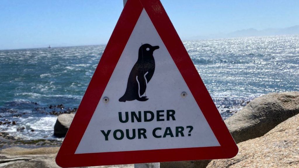 Pinguin Warnschild