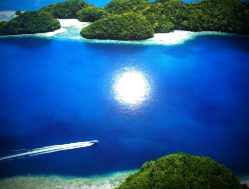 Das tropische Paradies Palau