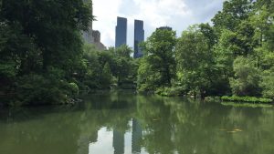 Central Park New York City