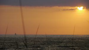 Florida