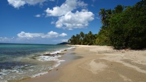 Vieques